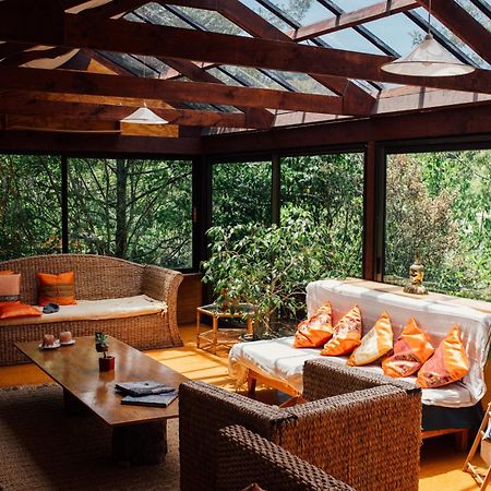 Отель Kawai Purapura Yoga Retreat Centre Окленд Экстерьер фото