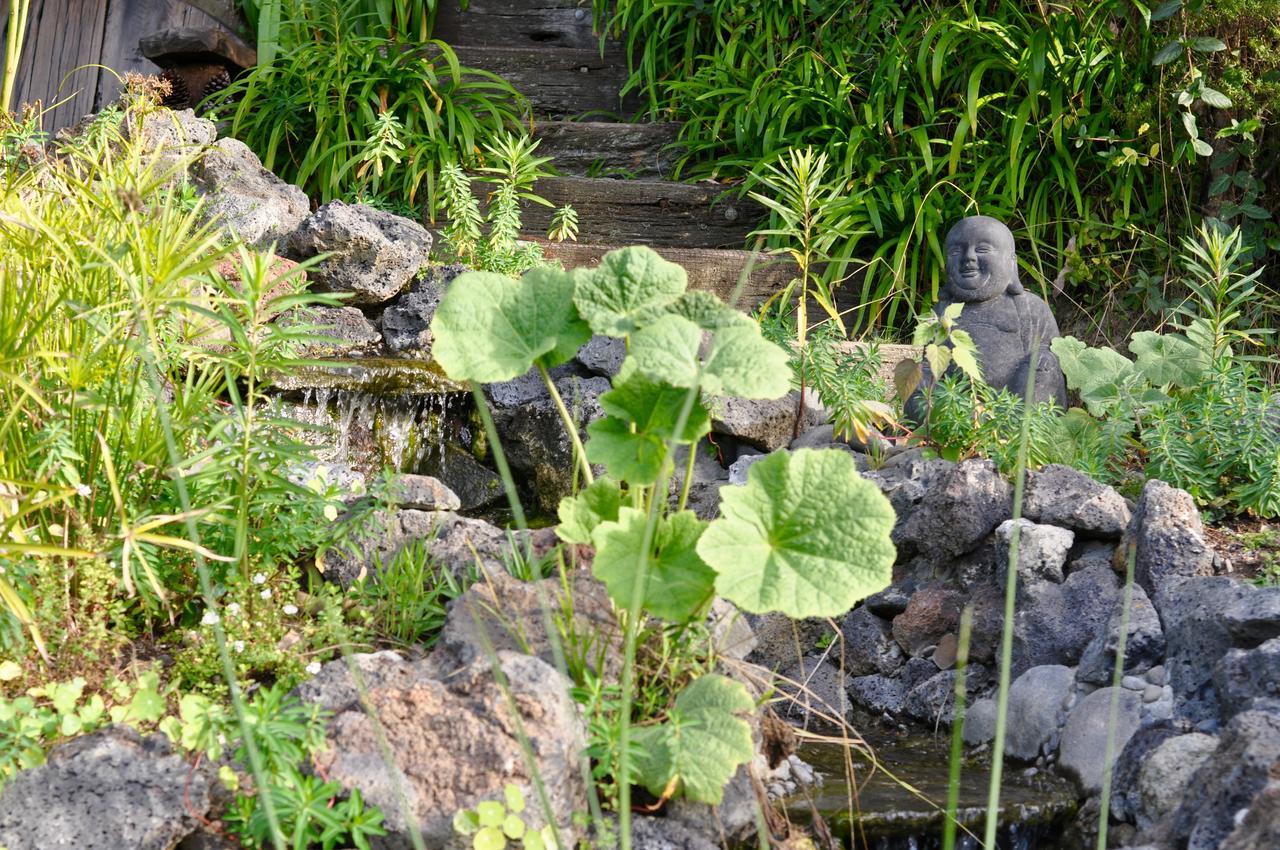 Отель Kawai Purapura Yoga Retreat Centre Окленд Экстерьер фото